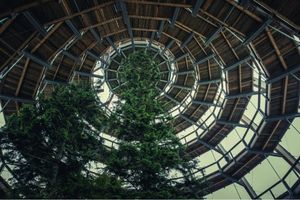 bois exotique intérieur