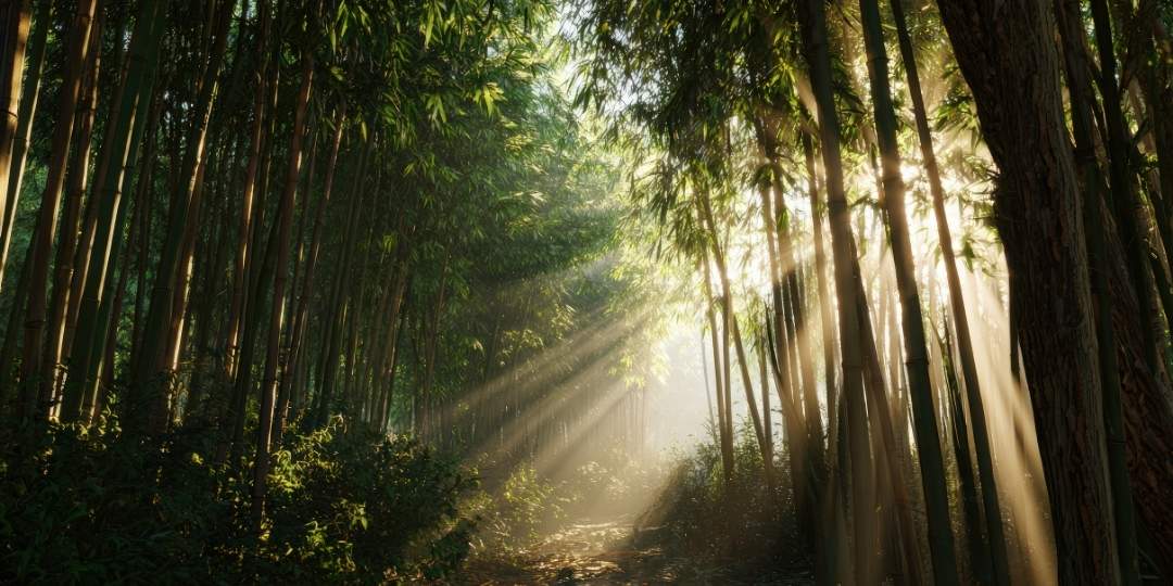 bois exotique intérieur bois exotique intérieur