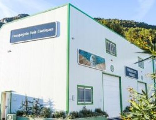 Pourquoi choisir un spécialiste avec entrepôt local plutôt qu’un simple revendeur en ligne ?