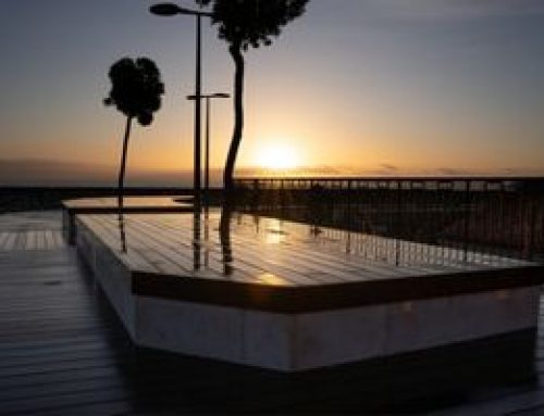 Terrasse bois exotique et climat méditerranéen : quelles essences tiennent vraiment dans le temps ?