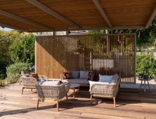 Bois padouk terrasse : couleur, évolution et avantages de ce bois exotique