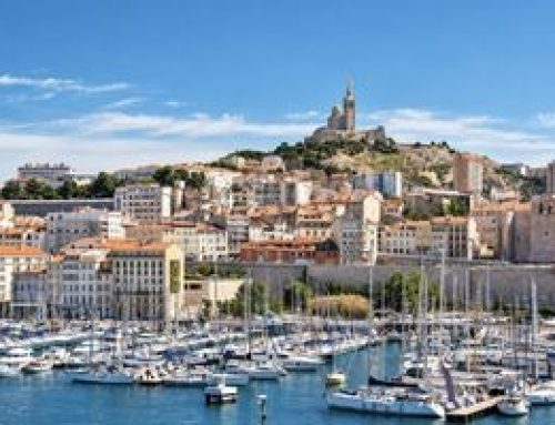 Terrasse en bois exotique à Marseille : le choix durable pour votre extérieur