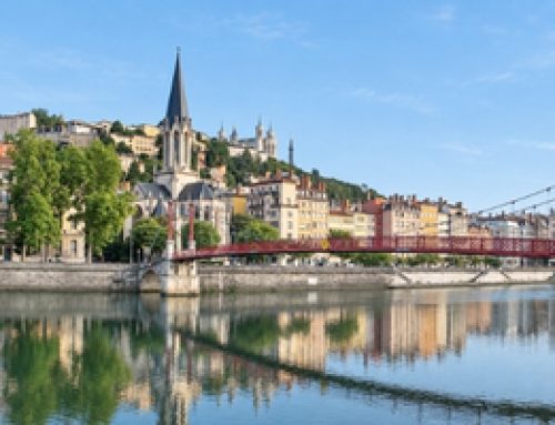 Terrasse en bois exotique à Lyon : quelle essence choisir pour votre extérieur ?